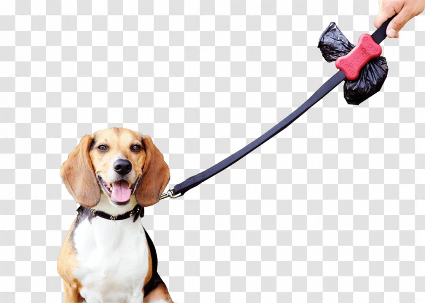 Dog Breed Leash Beagle Bin Bag Puppy - Like Mammal - Lead Transparent PNG
