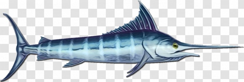 Fish Atlantic Blue Marlin Fin Marine Biology - Paint - Scombridae Bonyfish Transparent PNG