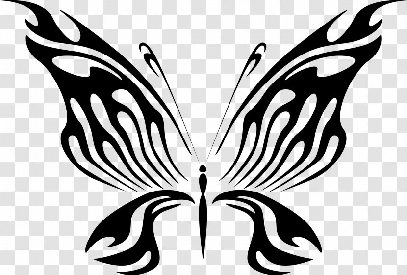 Butterfly Drawing Line Art Clip - Pollinator - Fly Clipart Transparent PNG