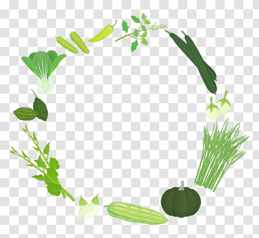 Vegetable Herb Logo - Head Scarf Transparent PNG