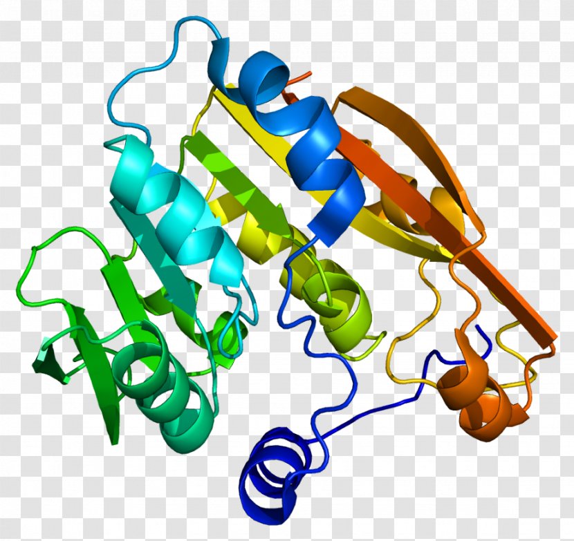 Thiopurine Methyltransferase Pharmacogenetics Mercaptopurine - Methylation Transparent PNG