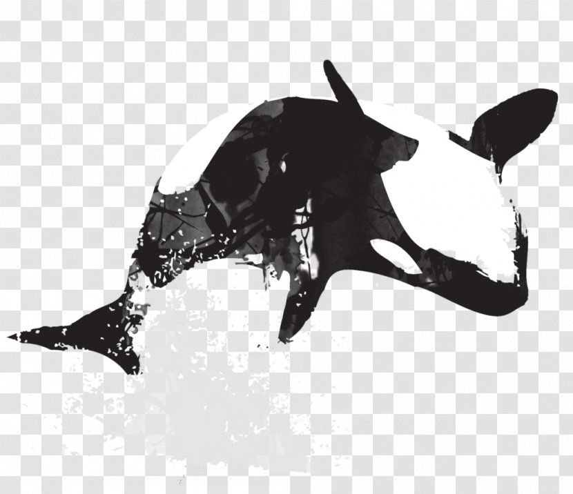 Killer Whale Art - Tilikum - Animals Watercolor Transparent PNG