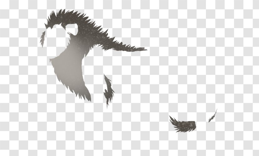 Eagle Beak Feather Sky Plc - Black And White Transparent PNG