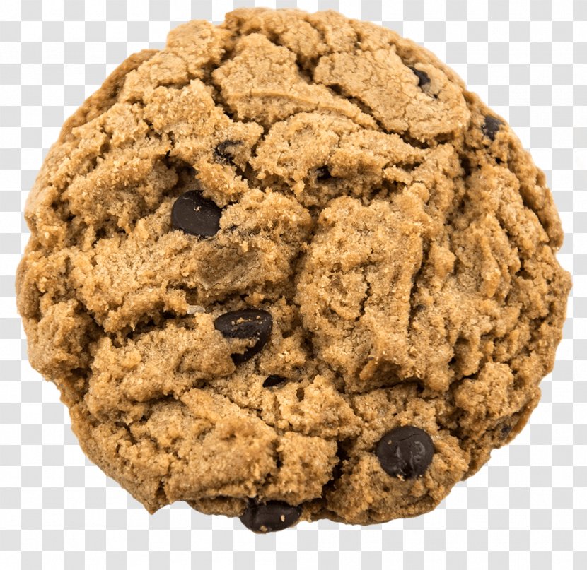 Oatmeal Raisin Cookies Chocolate Chip Cookie Biscuits - Biscuit Transparent PNG