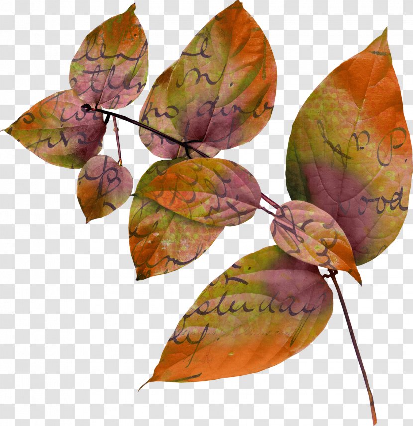 Leaf Megabyte Clip Art Transparent PNG