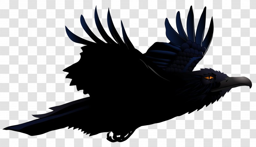 Bird Common Raven Euclidean Vector Clip Art - Crow Like - Picture Transparent PNG