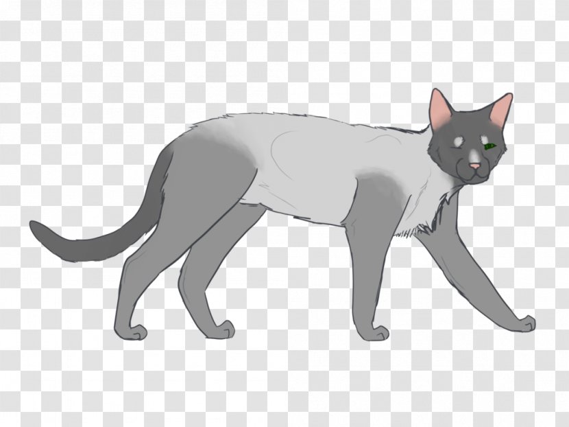 Whiskers Kitten Domestic Short-haired Cat Dog - Mammal Transparent PNG