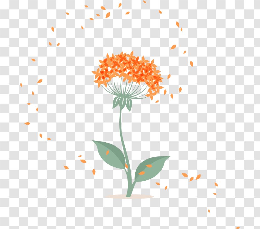 Flower Petal Floral Design Euclidean Vector - Dandelion Petals Transparent PNG