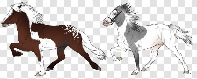 Mustang Icelandic Horse Pony Foal Stallion - Neck Transparent PNG