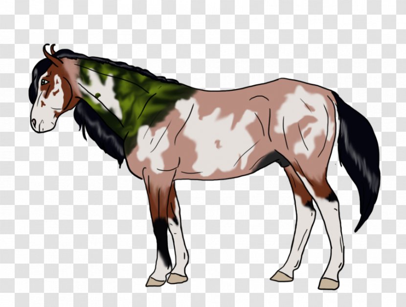 Foal Stallion Mustang Mare Colt - Horse - Milky Way Transparent PNG
