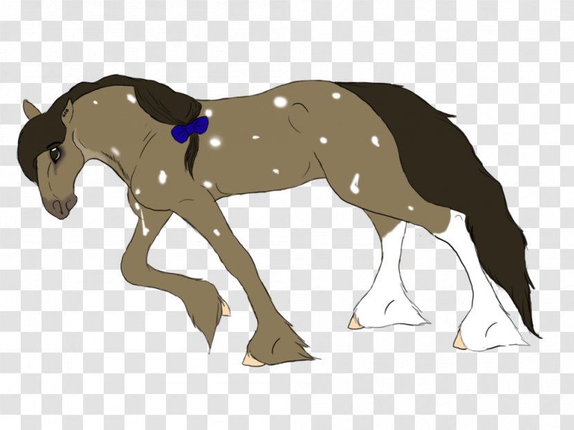 Foal Pony Colt Stallion Halter - Mane - Mustang Transparent PNG