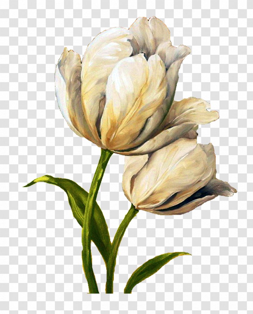 Flower Tulip Painting Decoupage Art - Petal - Artichokes Transparent PNG