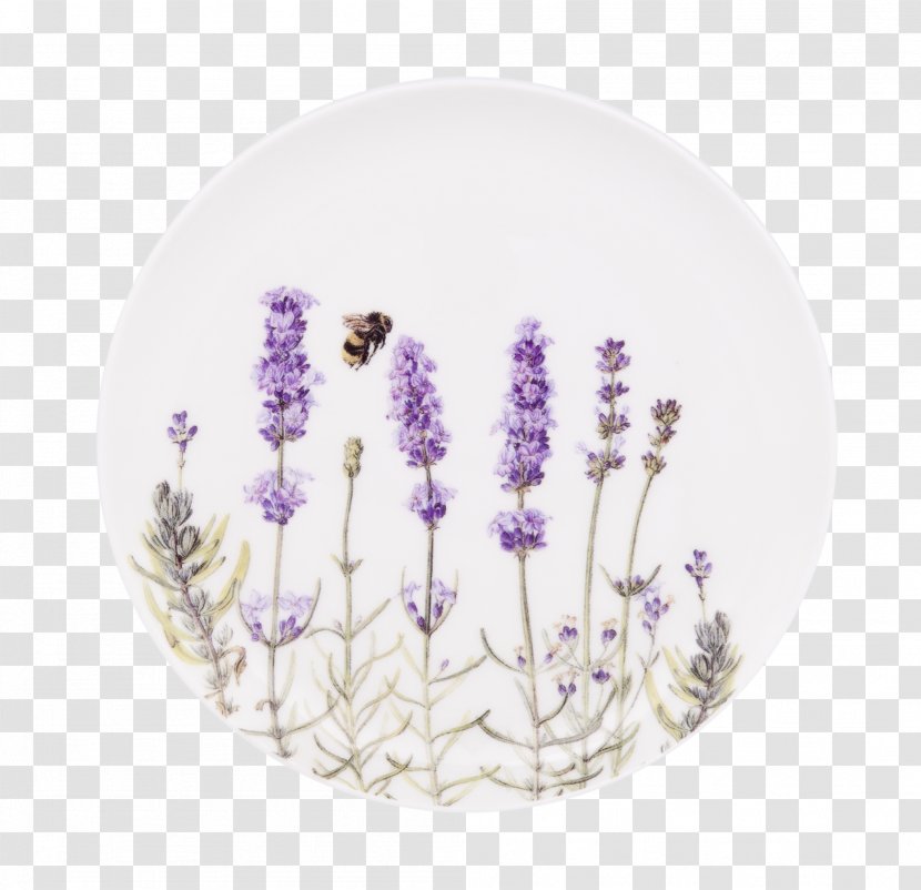 Sequim Soap Dishes & Holders French Lavender Dispenser Mug - Plate Transparent PNG