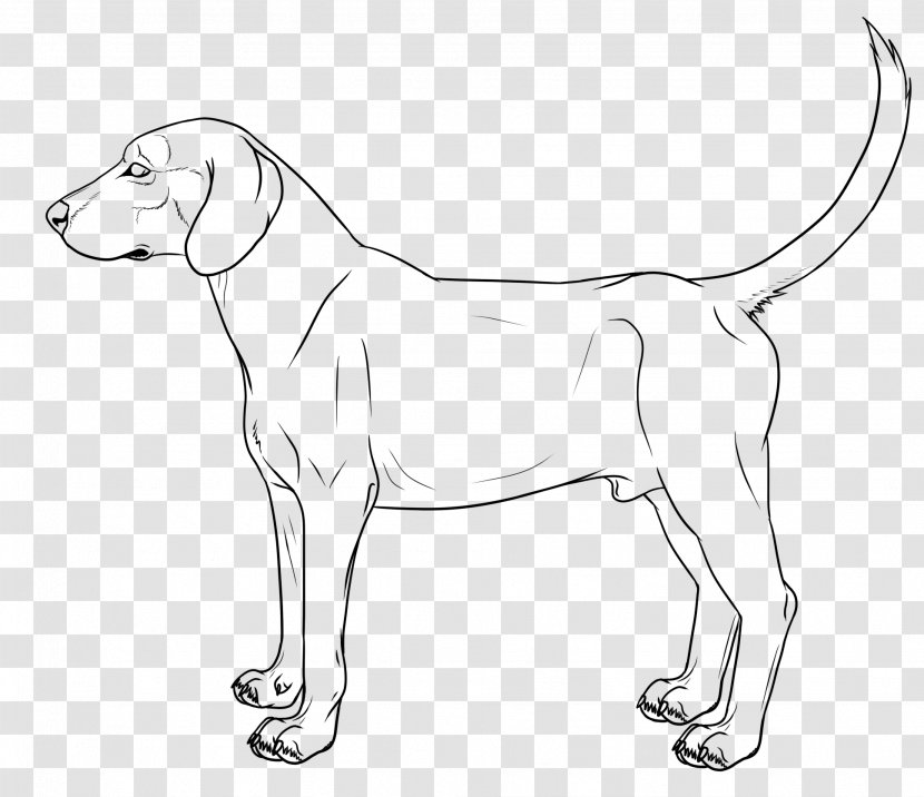 German Shepherd Boxer Puppy Drawing Line Art - Gray Wolf Transparent PNG
