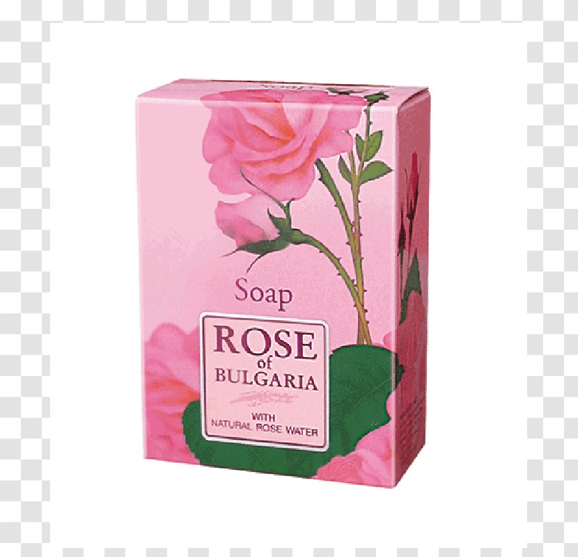 Rose Valley, Bulgaria Lotion Garden Roses Cosmetics Transparent PNG