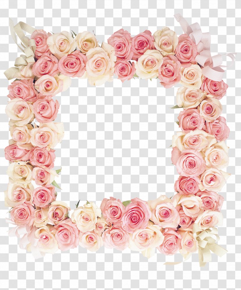 Picture Frame Flower - Pink Rose Transparent PNG
