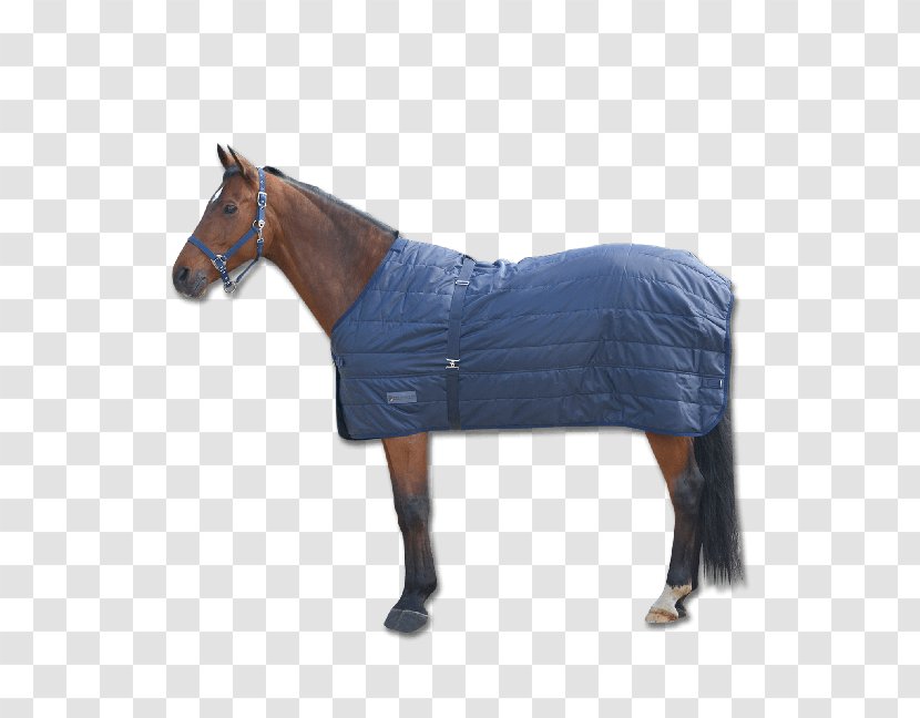 Horse Blanket Equestrian Rein - Halter Transparent PNG