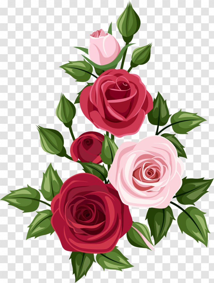 Rose Art Drawing Clip - Family - Vector Transparent PNG