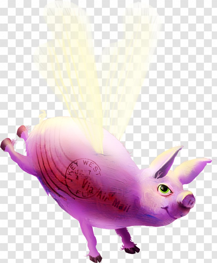 Domestic Pig Clip Art - Purple - Flying Free Download Transparent PNG