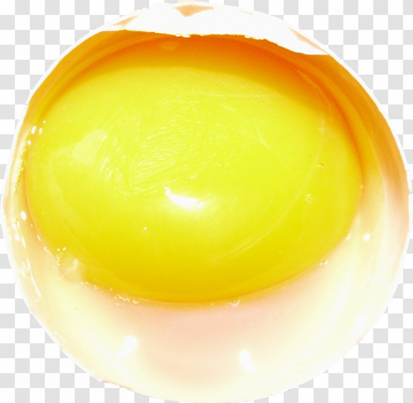 Yolk Chicken Egg White - Co Cou90fdu53ef Transparent PNG
