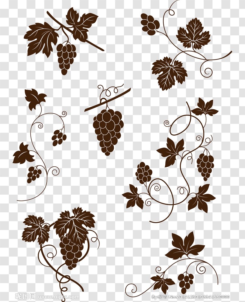 Common Grape Vine Royalty-free Illustration - Twig Transparent PNG