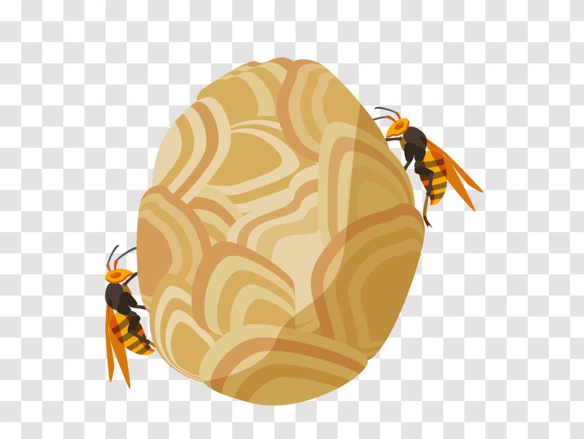 Honey Bee True Wasps Pest Control - Paper Wasp Transparent PNG
