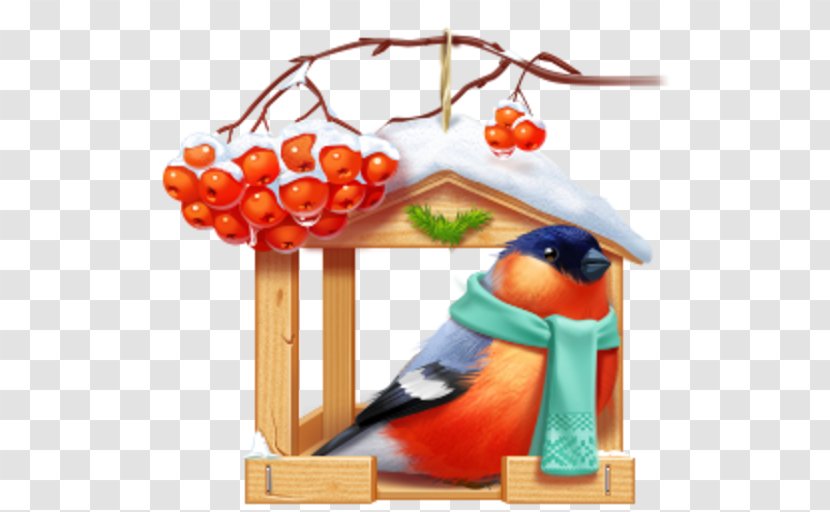 Bird Feeders Nest Box Bullfinch Clip Art - Christmas Ornament Transparent PNG
