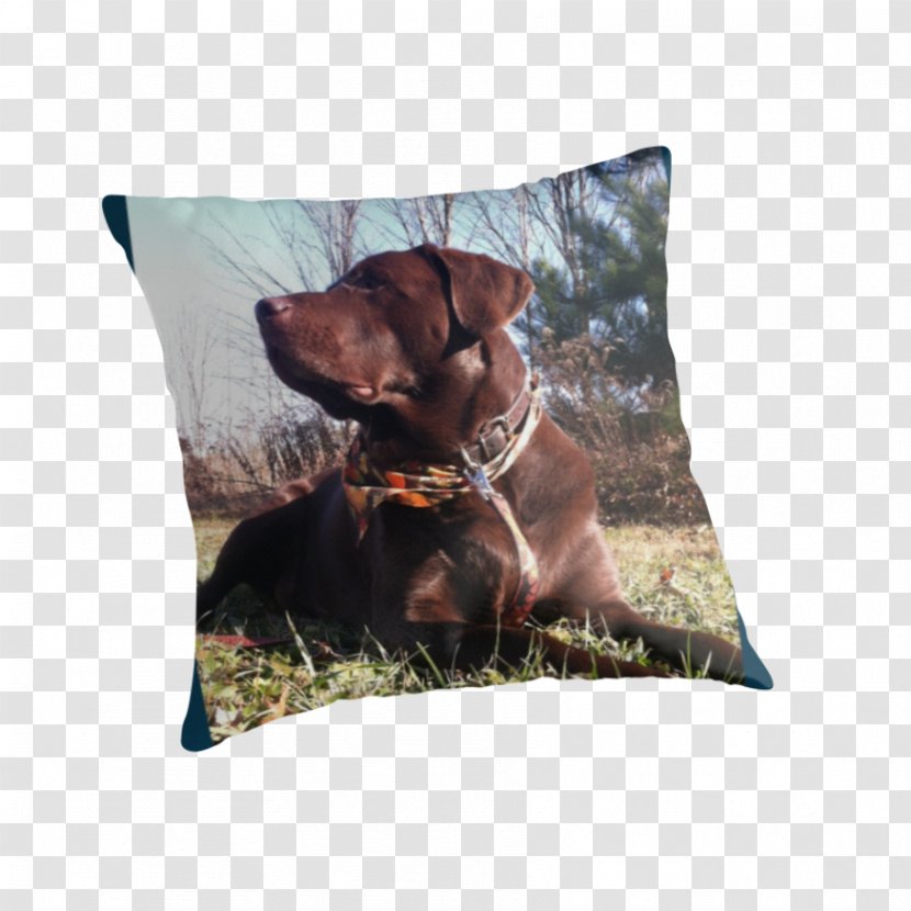 Dog Breed Throw Pillows Cushion - Chocolate Lab Transparent PNG