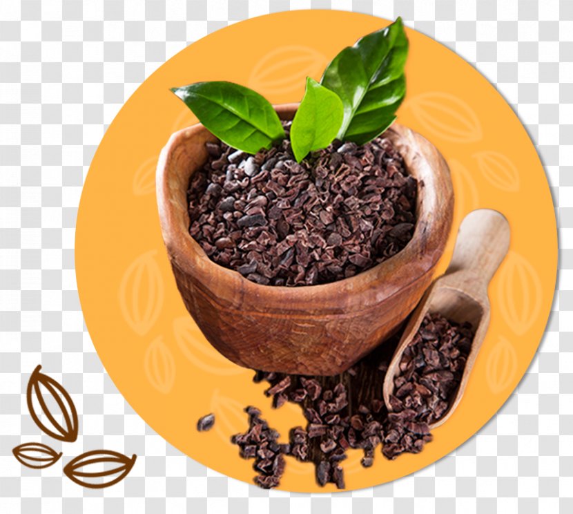 Cocoa Bean Paper Criollo Cabosse Afzelia Xylocarpa - Earl Grey Tea - Cacao Transparent PNG