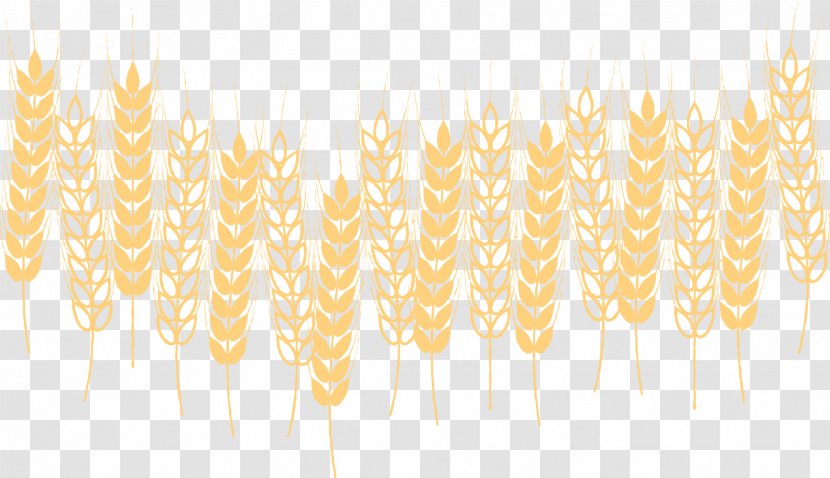 Desktop Wallpaper Yellow Commodity Pattern - Grasses - Vector Hand-painted Decorative Wheat Transparent PNG