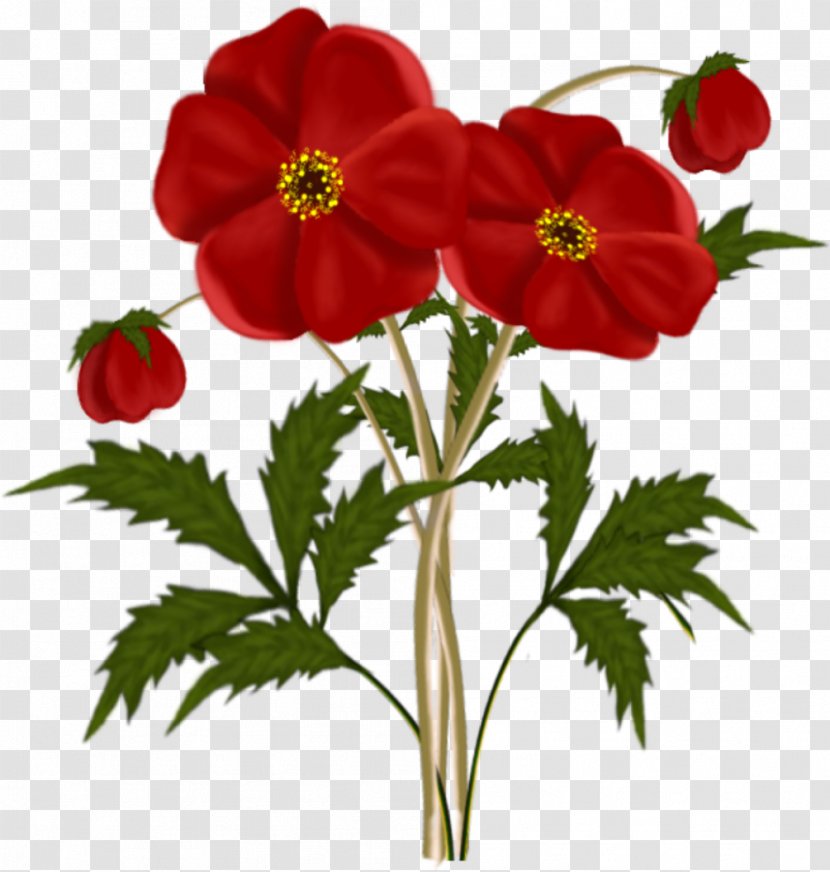 Flower Red Clip Art - Flowering Plant - Flowers Cliparts Transparent PNG