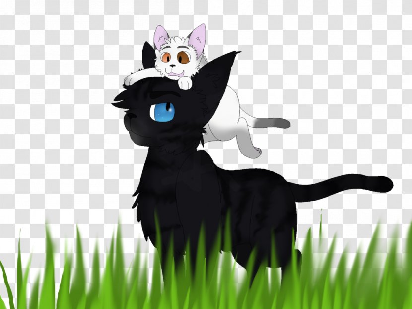 Whiskers Kitten Black Cat Dog Transparent PNG