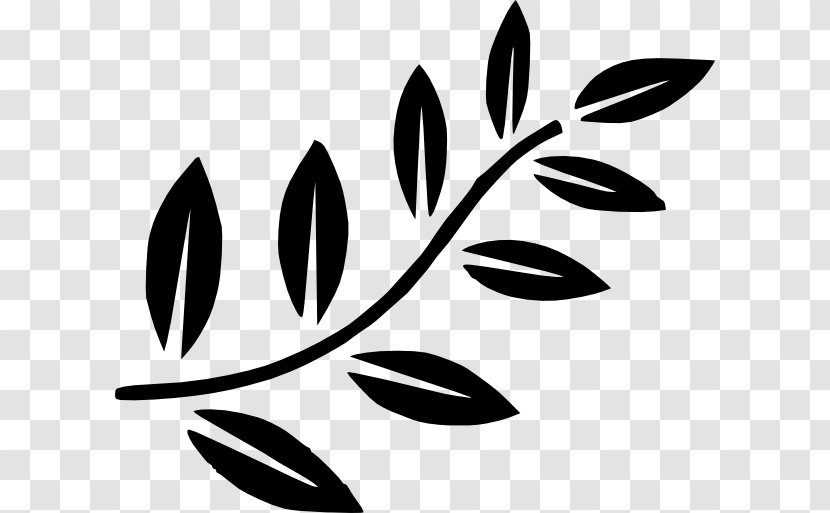 Branch Leaf Tree Clip Art - Free Content - Picture Of A Transparent PNG