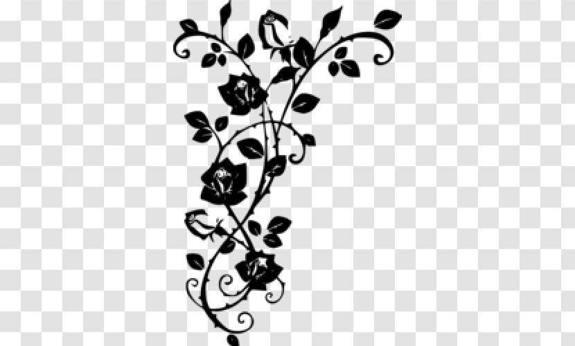 Rose Thorns, Spines, And Prickles Vine Drawing - Floral Design Transparent PNG