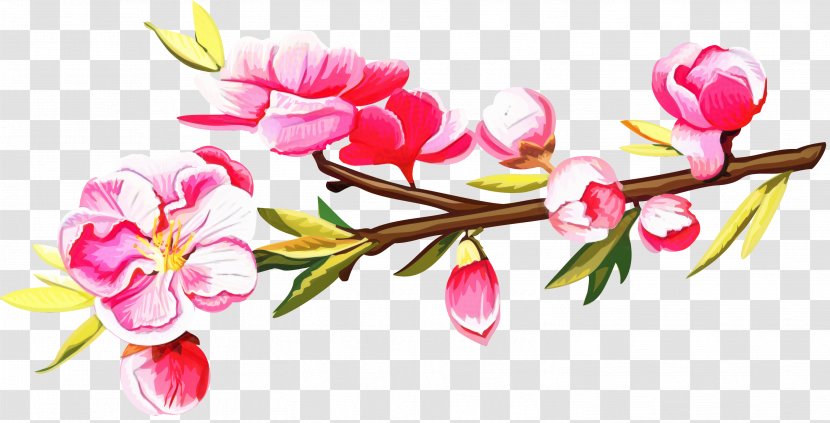 Floral Spring Flowers - Cerasus - Plant Stem Pedicel Transparent PNG
