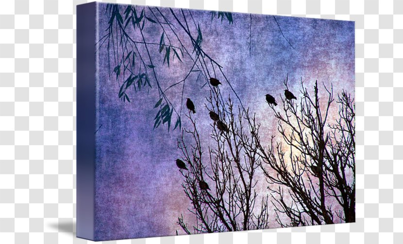 Desktop Wallpaper Plastic Picture Frames Photo Booth - Photography - Birds Of A Feather 2 Transparent PNG