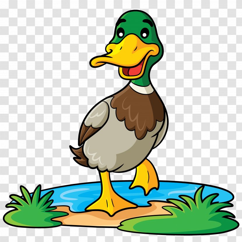 Duck Mallard Cartoon Clip Art Transparent PNG