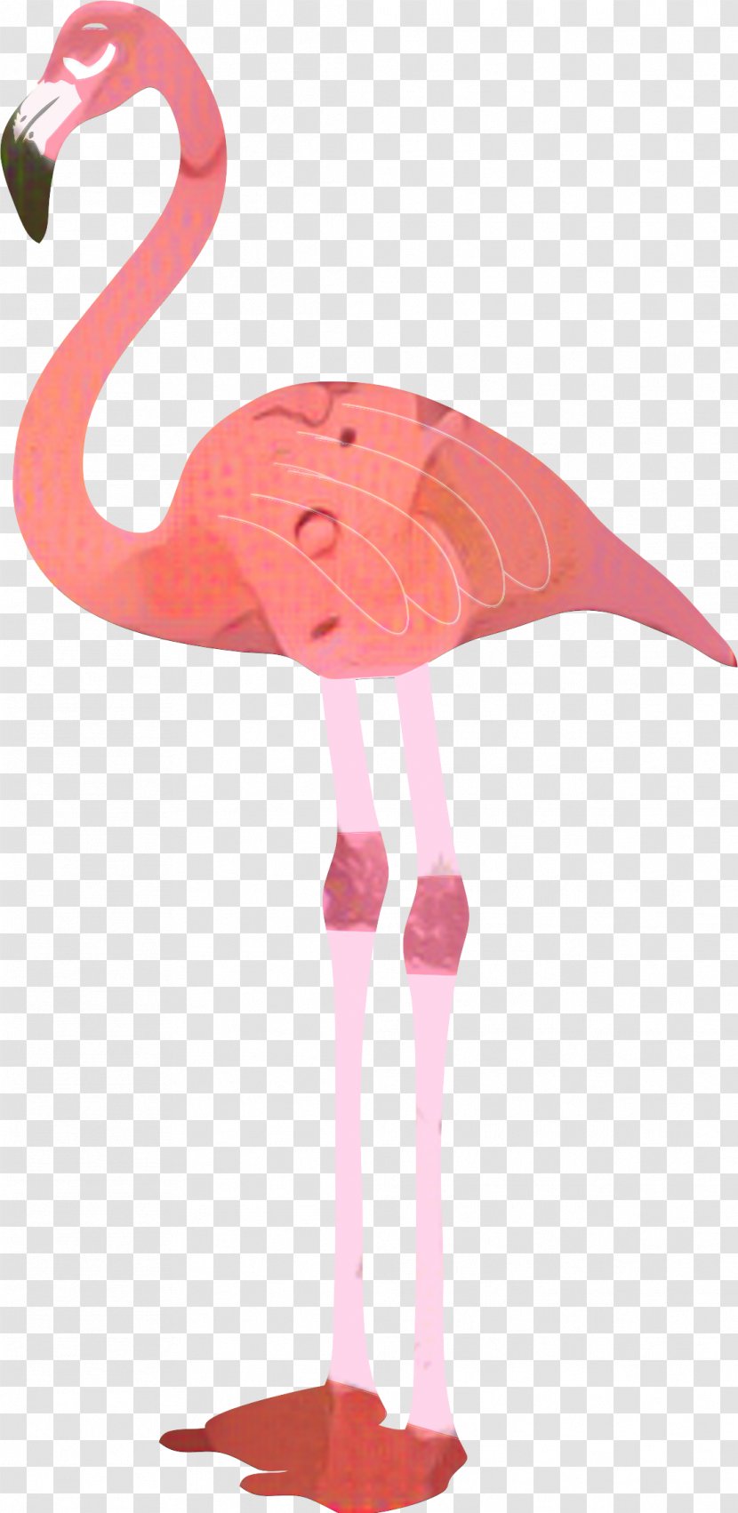 Clip Art Flamingo Image Vector Graphics - Bird - Neck Transparent PNG