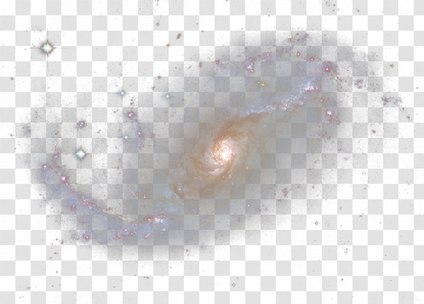 Organism Angle Close-up Pattern - White - Spiral Galaxy Transparent PNG