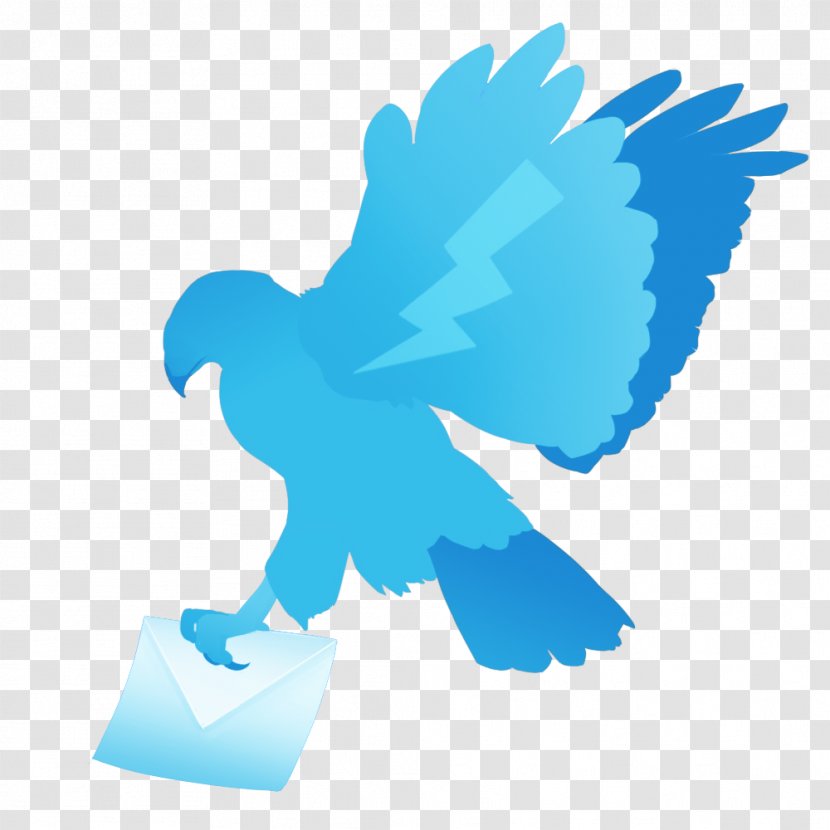 Bird Wing Beak Feather Clip Art - Microsoft Azure - Taobao Transparent PNG