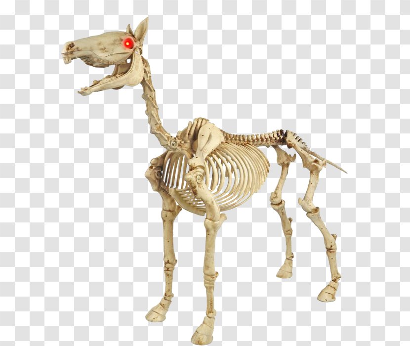 Horse Light Halloween Skeleton Pony - Haunted House Transparent PNG