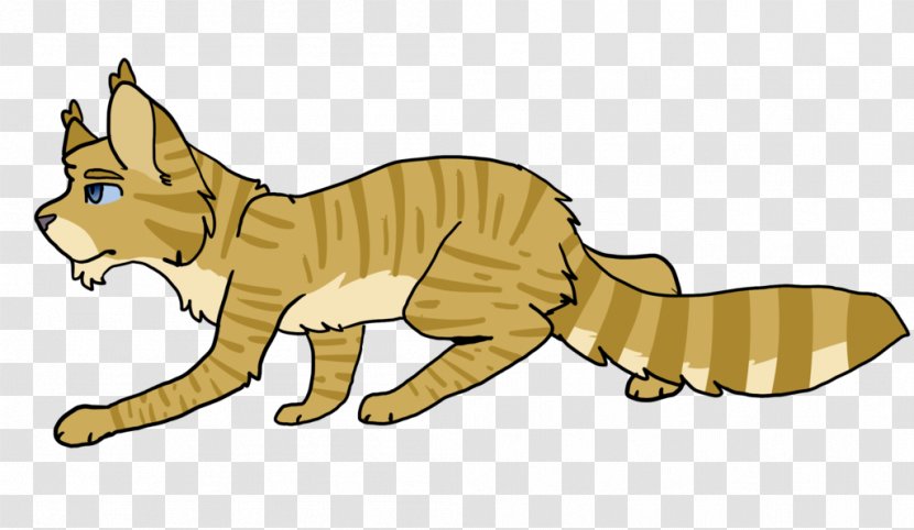 Whiskers Wildcat Red Fox Mammal - Dog - Cat Transparent PNG