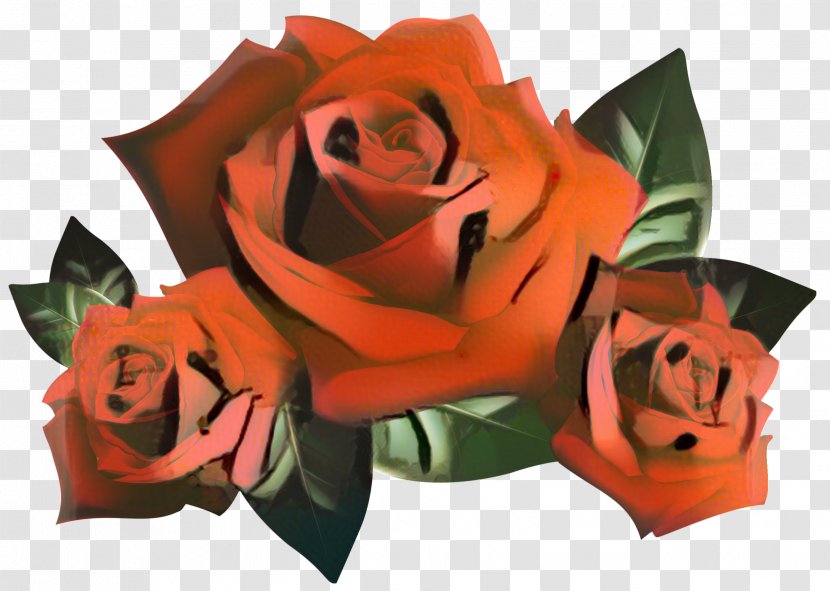 Desktop Wallpaper Garden Roses Photograph Red - Flowering Plant - Orange Transparent PNG