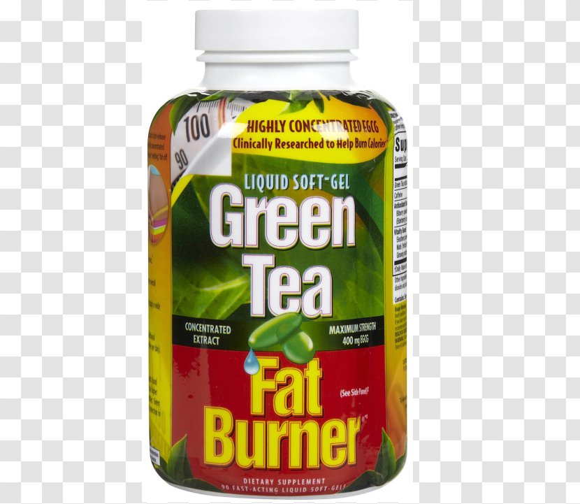 Green Tea Dietary Supplement Weight Loss Fatburner - Epigallocatechin Gallate Transparent PNG