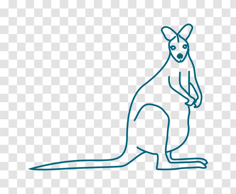 Kangaroo Mouse Macropodidae Domestic Rabbit Clip Art - Whiskers Transparent PNG