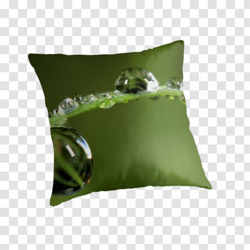 Throw Pillows Cushion Rock FOB - Pillow Transparent PNG