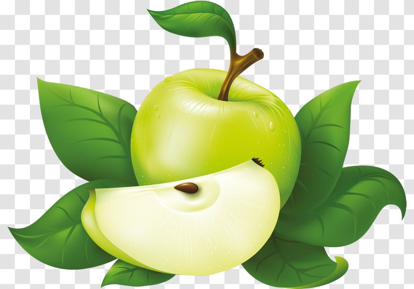 Vector Graphics Clip Art Fruit Juice Image - Granny Smith - Apple Tree Transparent Transparent PNG