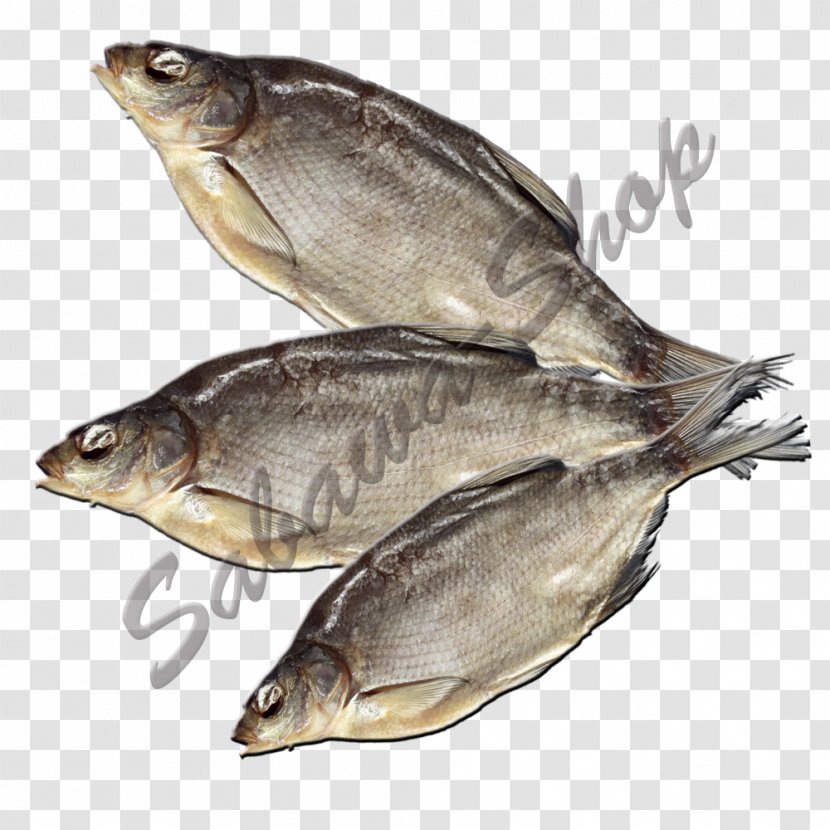 Kipper Oily Fish Sardine Salted Products - 线 Transparent PNG