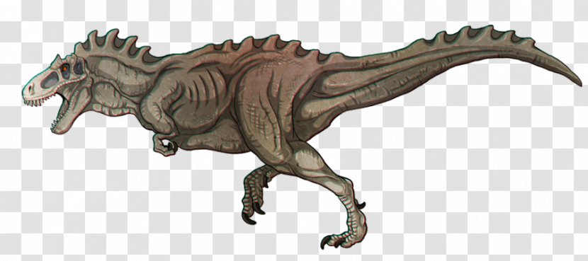 Tyrannosaurus Albertosaurus Dilong Teratophoneus Pachyrhinosaurus - Dragon - Thanks For 1000 Likes Transparent PNG