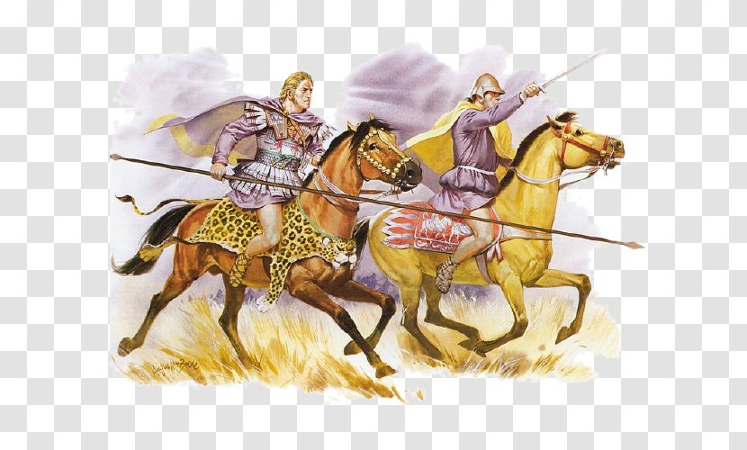 Macedonian Phalanx Battle Of Gaugamela Companion Cavalry - Alexander The Great Transparent PNG